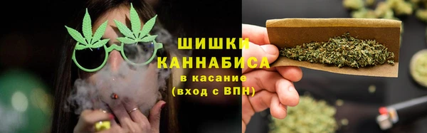 сатива Аркадак