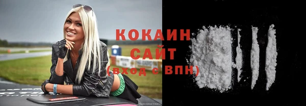 сатива Аркадак