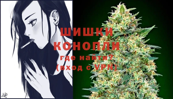 сатива Аркадак