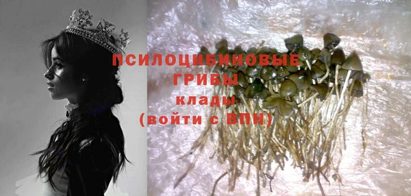 сатива Аркадак