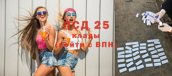 сатива Аркадак