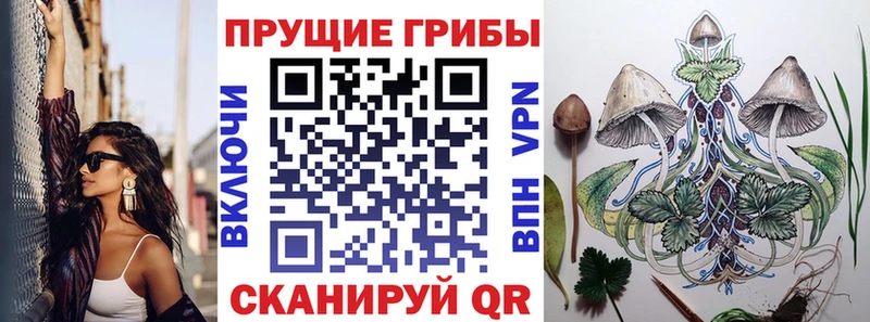 Купить закладки  Бугульма  Галлюциногенные грибы Magic Shrooms 
